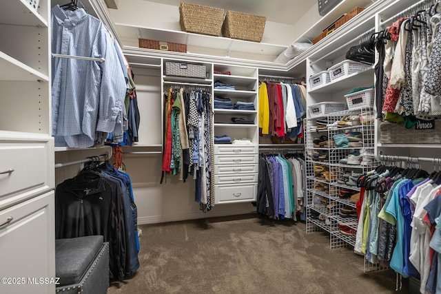 walk in closet featuring carpet