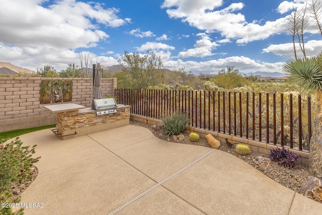 view of patio with grilling area, area for grilling, and a fenced backyard