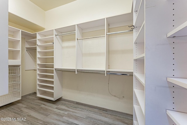 walk in closet featuring wood finished floors