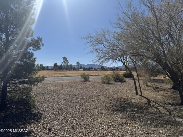 1117 E Irene St, Pearce, AZ 85625 - view of yard with a rural view and a mountain view