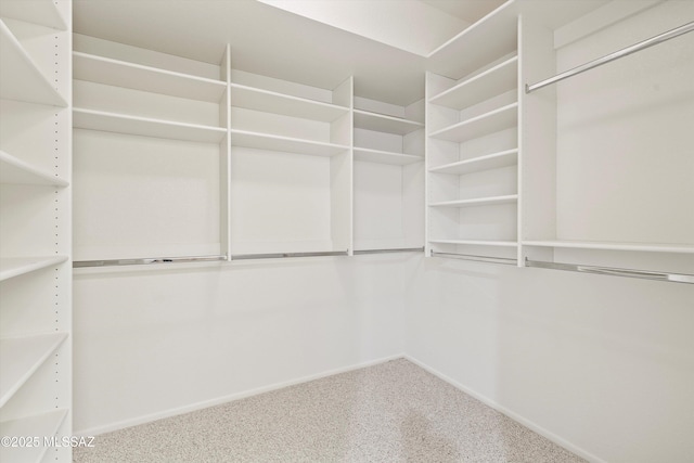 spacious closet featuring carpet flooring