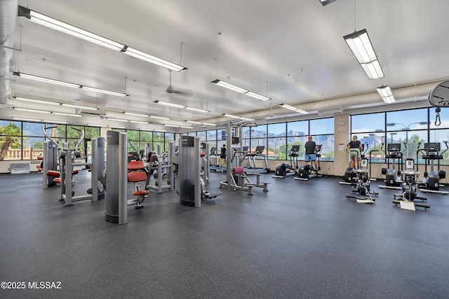 workout area featuring a healthy amount of sunlight
