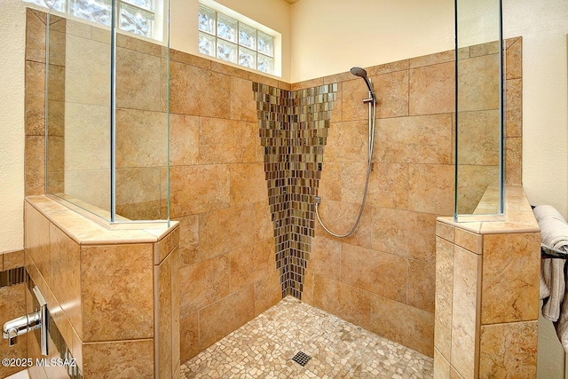 bathroom with a walk in shower