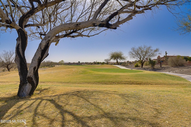 view of yard with view of golf course