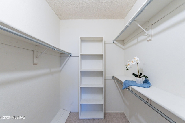 walk in closet with light carpet