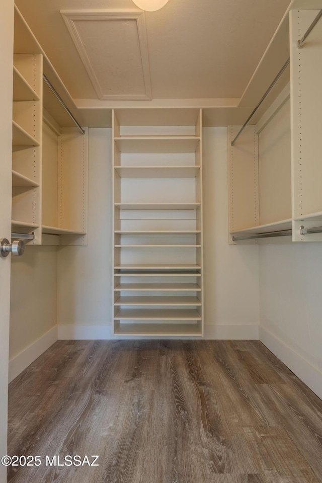 spacious closet featuring dark wood-style floors