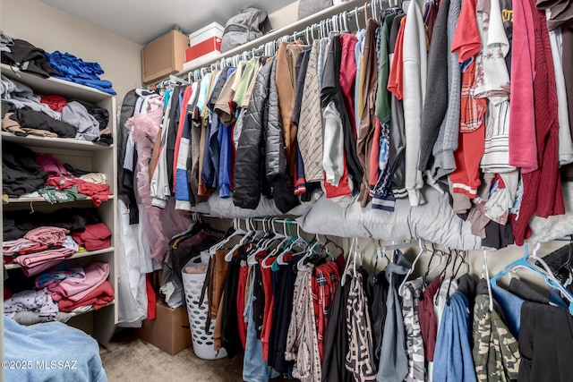 walk in closet featuring carpet flooring