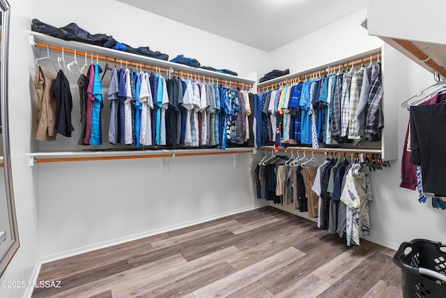 walk in closet featuring wood finished floors