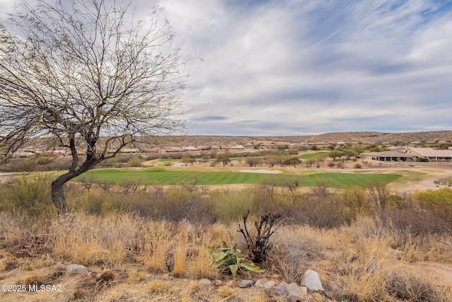 view of local wilderness