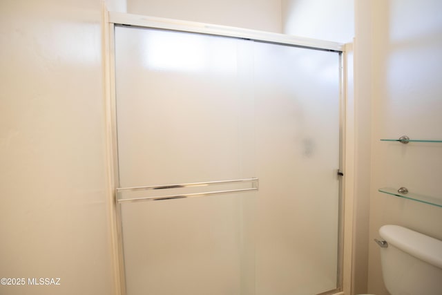 bathroom featuring toilet and a stall shower