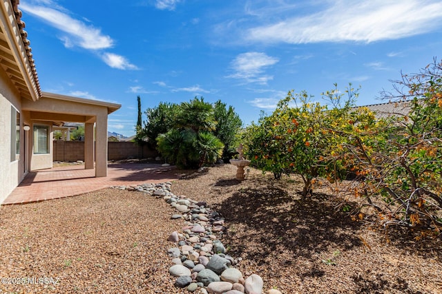 view of yard featuring a fenced backyard and a patio