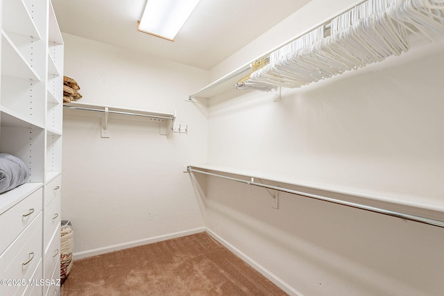 spacious closet with carpet floors