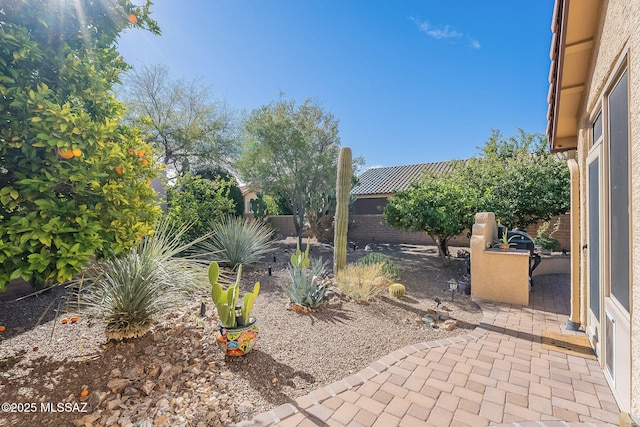 view of yard with a patio area and a fenced backyard