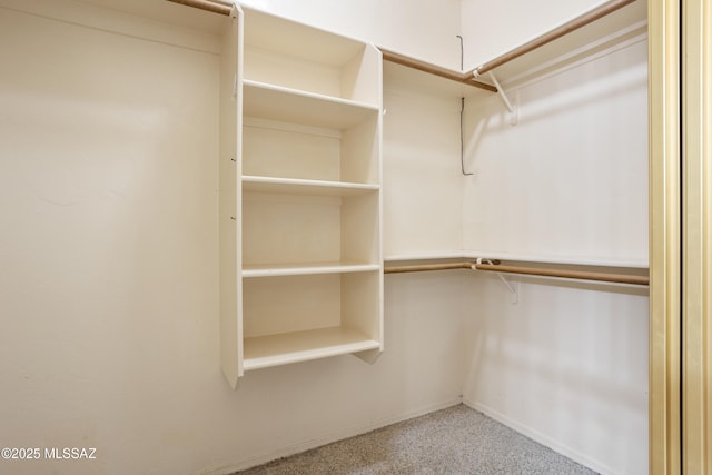 spacious closet with light carpet