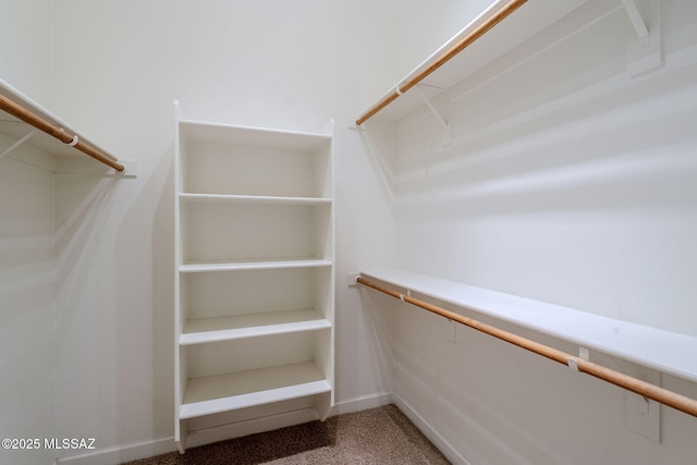 view of walk in closet