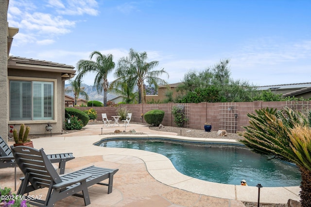 view of pool with a fenced backyard, a fenced in pool, and a patio