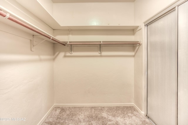 walk in closet featuring carpet floors