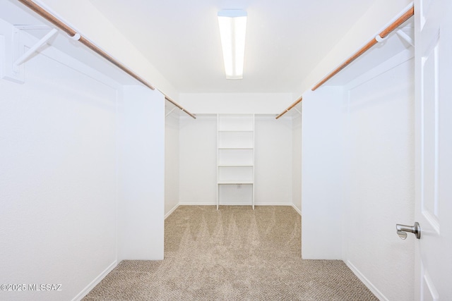 spacious closet with carpet flooring
