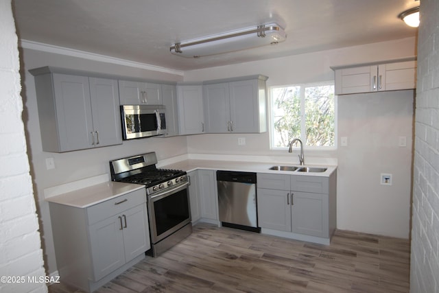 kitchen featuring gray cabinetry, appliances with stainless steel finishes, and a sink