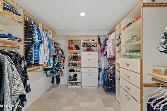 view of spacious closet