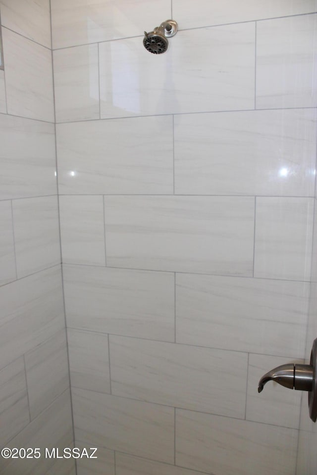 interior details with tiled shower