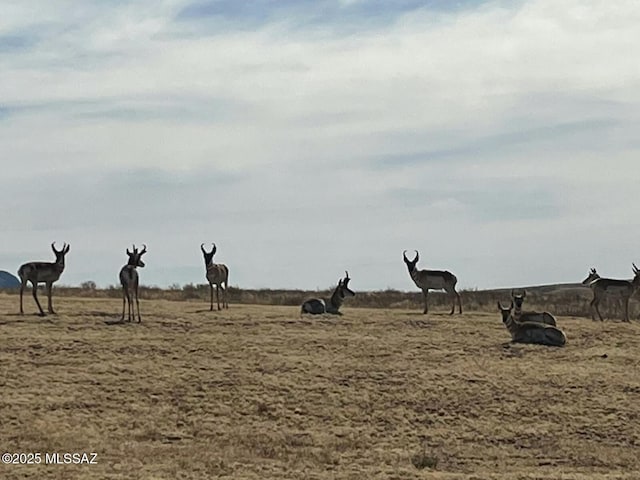 16 Star View Dr, Sonoita, AZ 85637 - view of undeveloped land