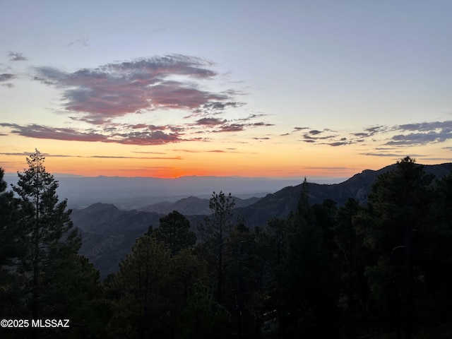 property view of mountains featuring a forest view