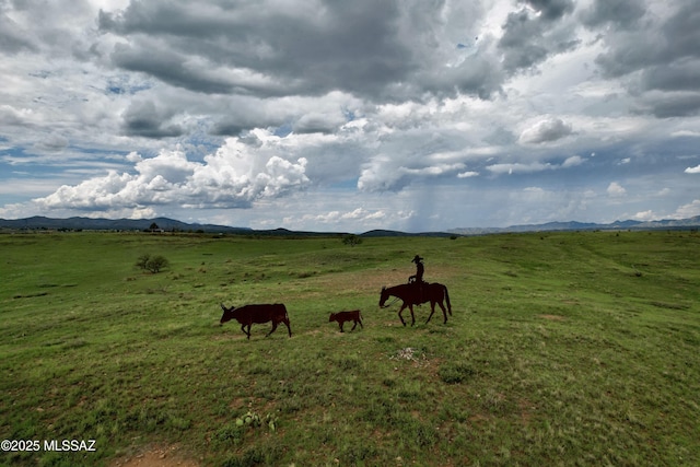 view of yard featuring a rural view and a mountain view