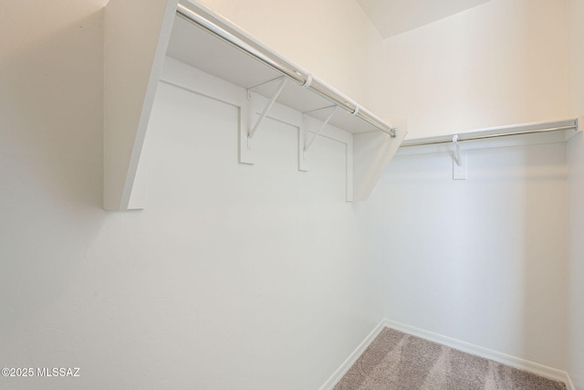 spacious closet featuring carpet flooring