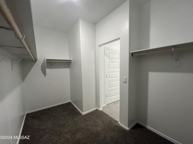 spacious closet featuring light carpet