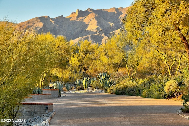 view of mountain feature