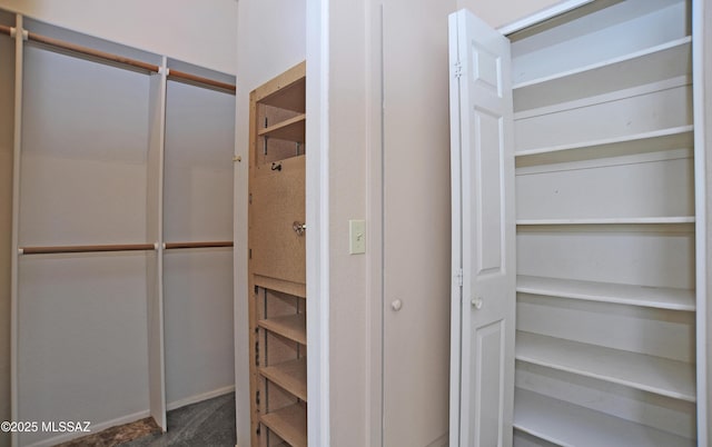 view of walk in closet