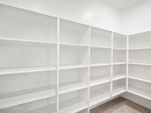 314 N Pecan Pie Pl, Sahuarita, AZ 85629 - view of pantry