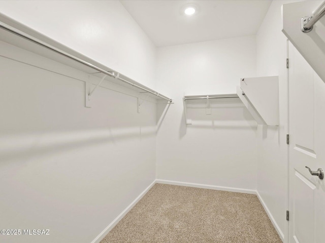 314 N Pecan Pie Pl, Sahuarita, AZ 85629 - spacious closet featuring light carpet