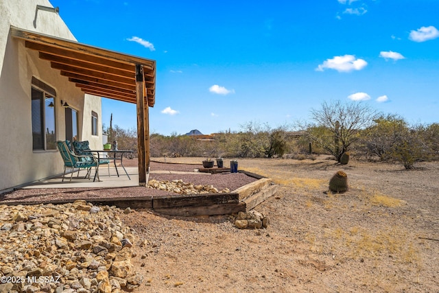 view of yard featuring a patio area