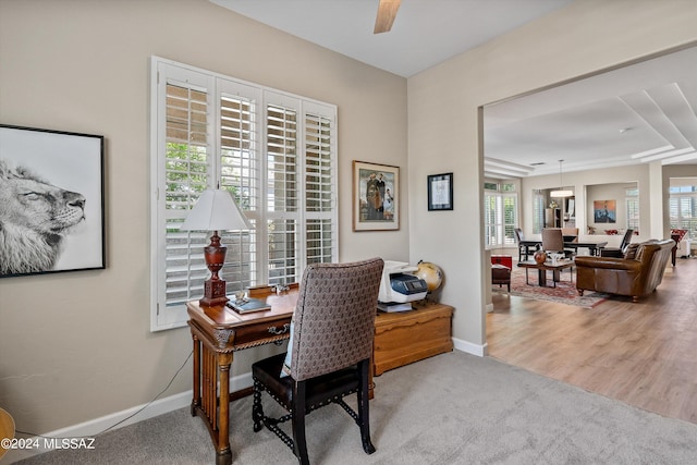 office featuring baseboards, carpet flooring, and wood finished floors