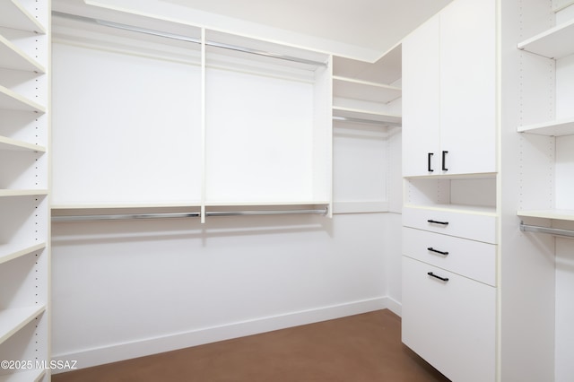 view of walk in closet