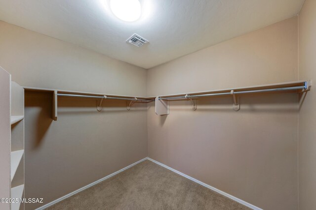 10365 S High Bluff Dr, Vail, AZ 85641 - spacious closet featuring carpet floors