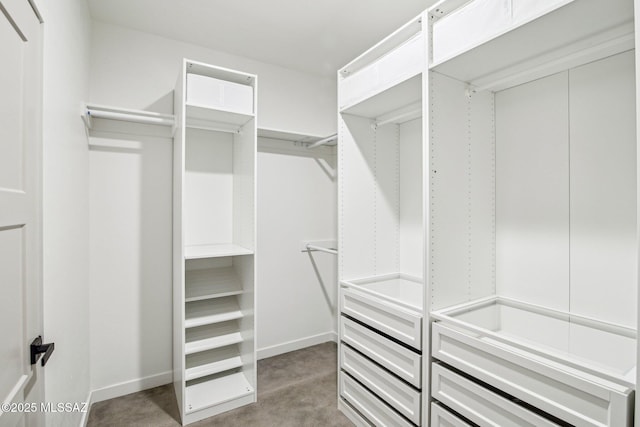 view of spacious closet