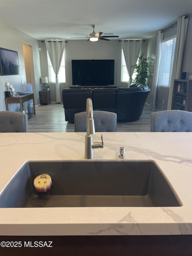 interior details with ceiling fan, a sink, and wood finished floors