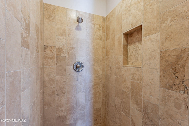 interior details with tiled shower