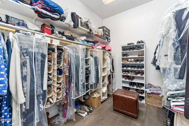 spacious closet with hardwood / wood-style flooring