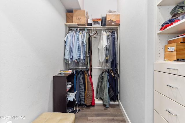 walk in closet featuring wood finished floors