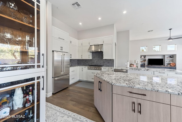 kitchen with appliances with stainless steel finishes, light stone counters, dark wood-style flooring, under cabinet range hood, and backsplash