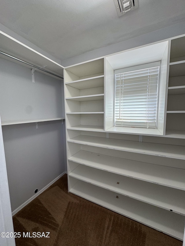 walk in closet featuring carpet floors and visible vents