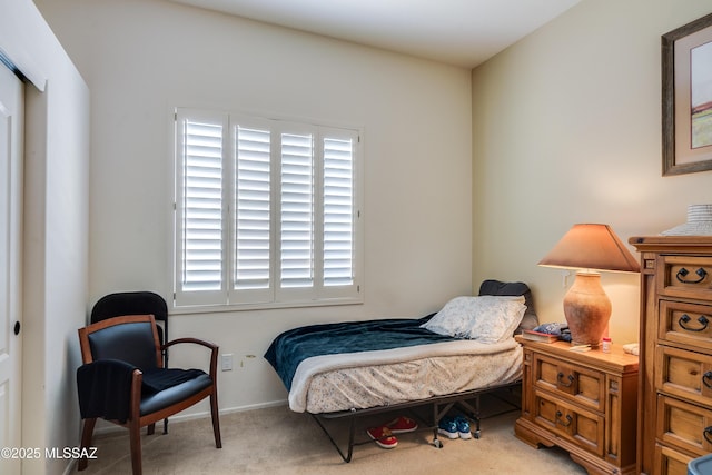 bedroom featuring multiple windows and carpet floors