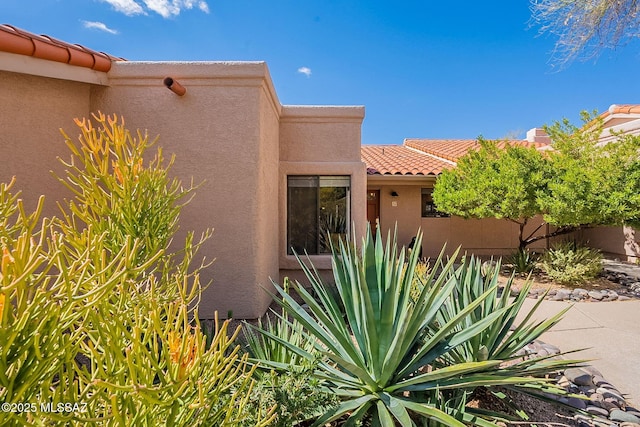 view of exterior entry featuring a tile roof and stucco siding