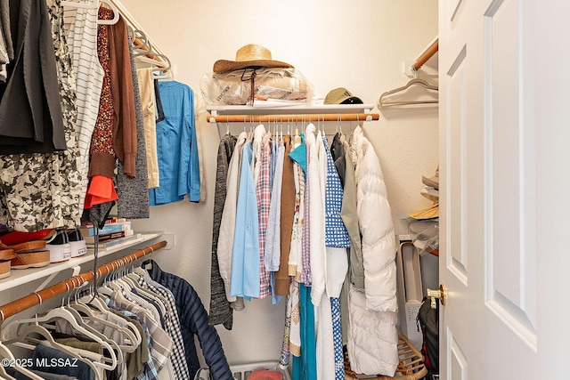 view of spacious closet