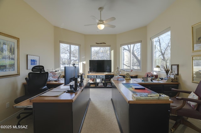 office featuring a wealth of natural light, carpet, and a ceiling fan