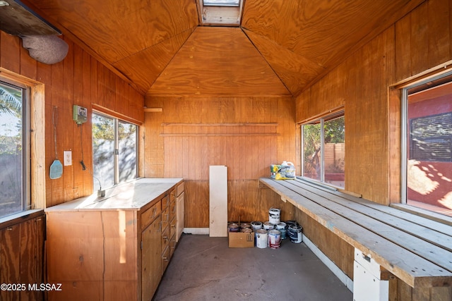 interior space featuring vaulted ceiling, a healthy amount of sunlight, and a sauna